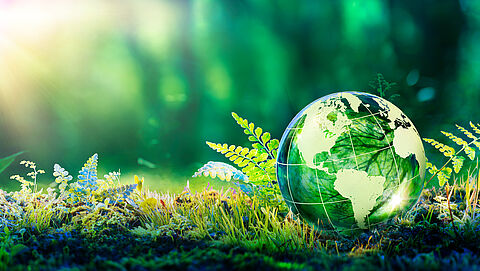Glazenbol met afbeelding van de aarde op een bed van bladeren en planten, verlicht door zonnestralen.