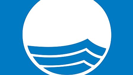 Logo Blauwe Vlag