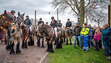 Burgemeester Van der Hoek op een Zeeuws paard omringt door andere ruiters en publiek