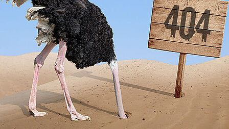struisvogel 404 pagina